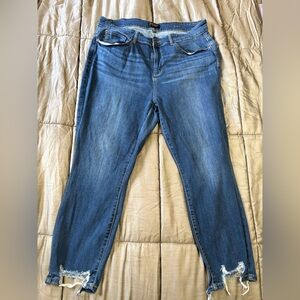 Judy Blue Classic Distressed Skinny Jeans